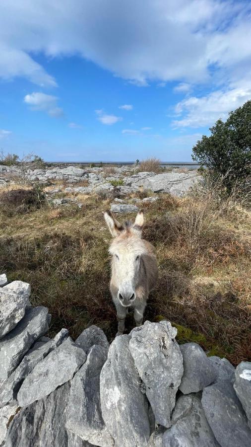 Cappabhaile House Ballyvaughan Kültér fotó